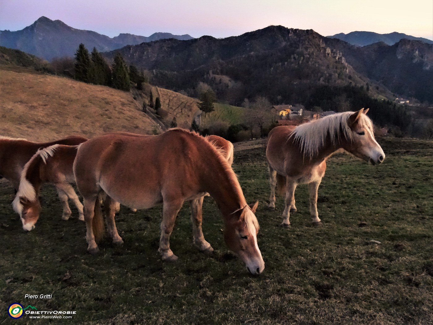 73 Con i cavalli alla Forcella di spettino a tramonto inoltrato.JPG